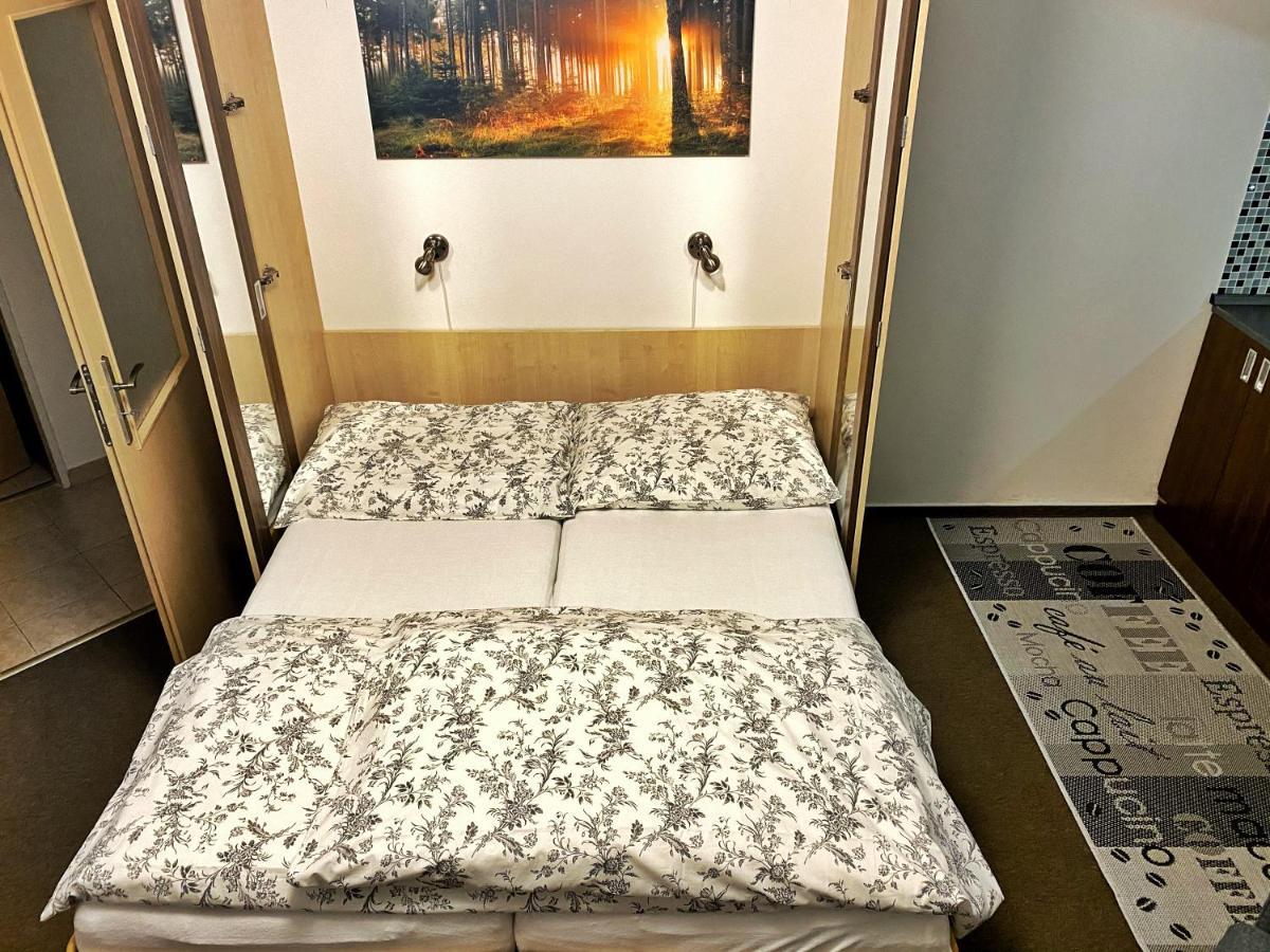 רוקיטניצה נאד איז'רו Apartman Modra Hvezda מראה חיצוני תמונה