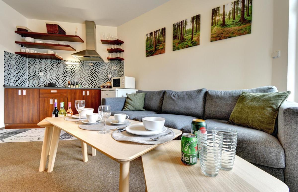 רוקיטניצה נאד איז'רו Apartman Modra Hvezda מראה חיצוני תמונה