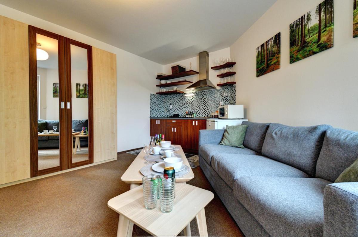 רוקיטניצה נאד איז'רו Apartman Modra Hvezda מראה חיצוני תמונה